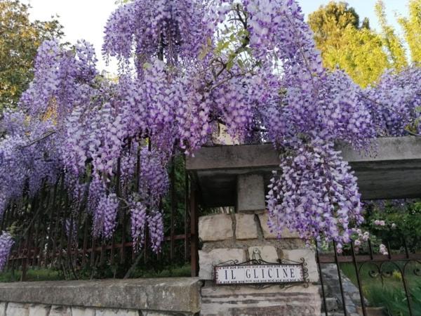 B&B Il Glicine Bedizzole ภายนอก รูปภาพ