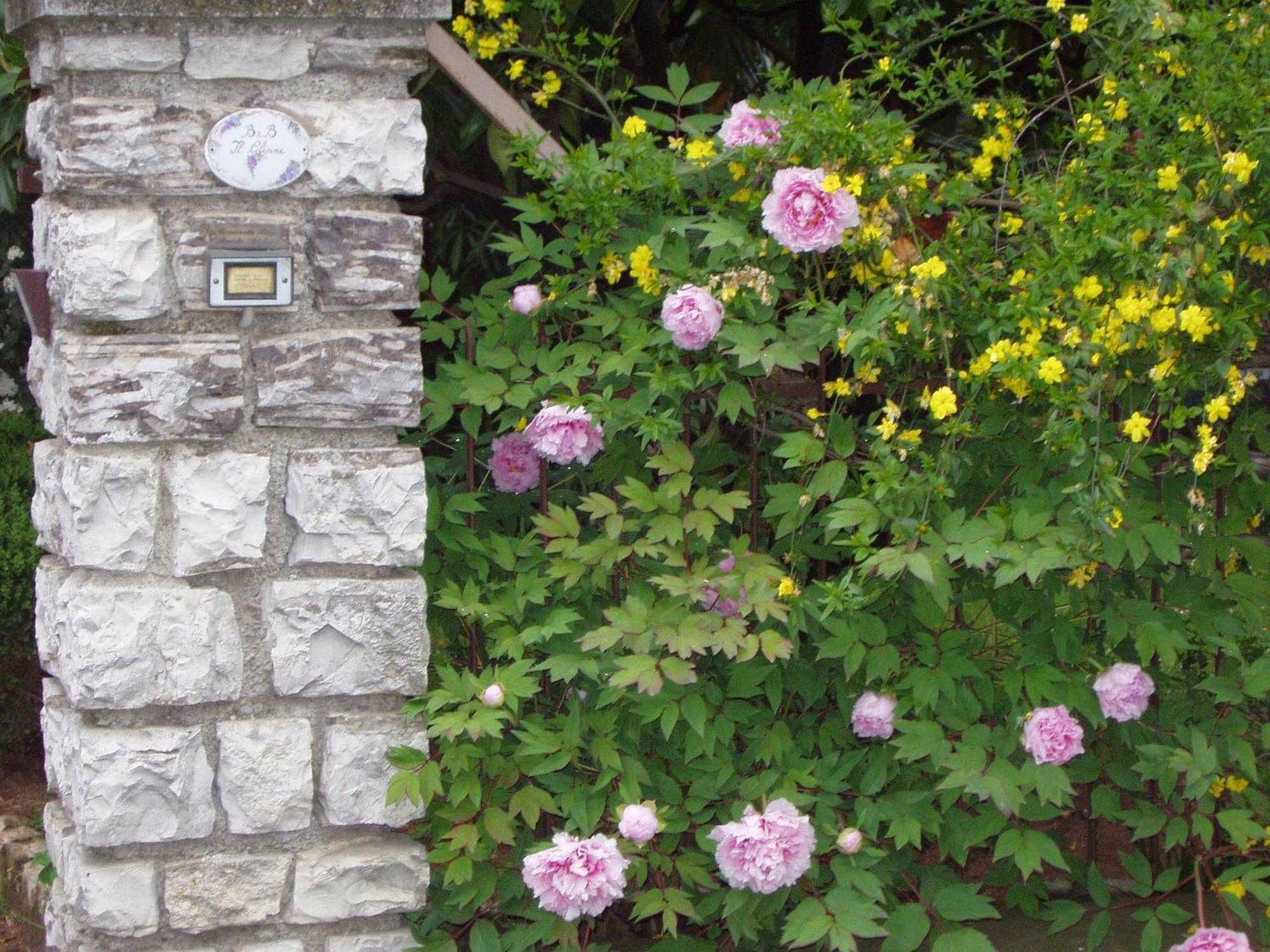 B&B Il Glicine Bedizzole ภายนอก รูปภาพ